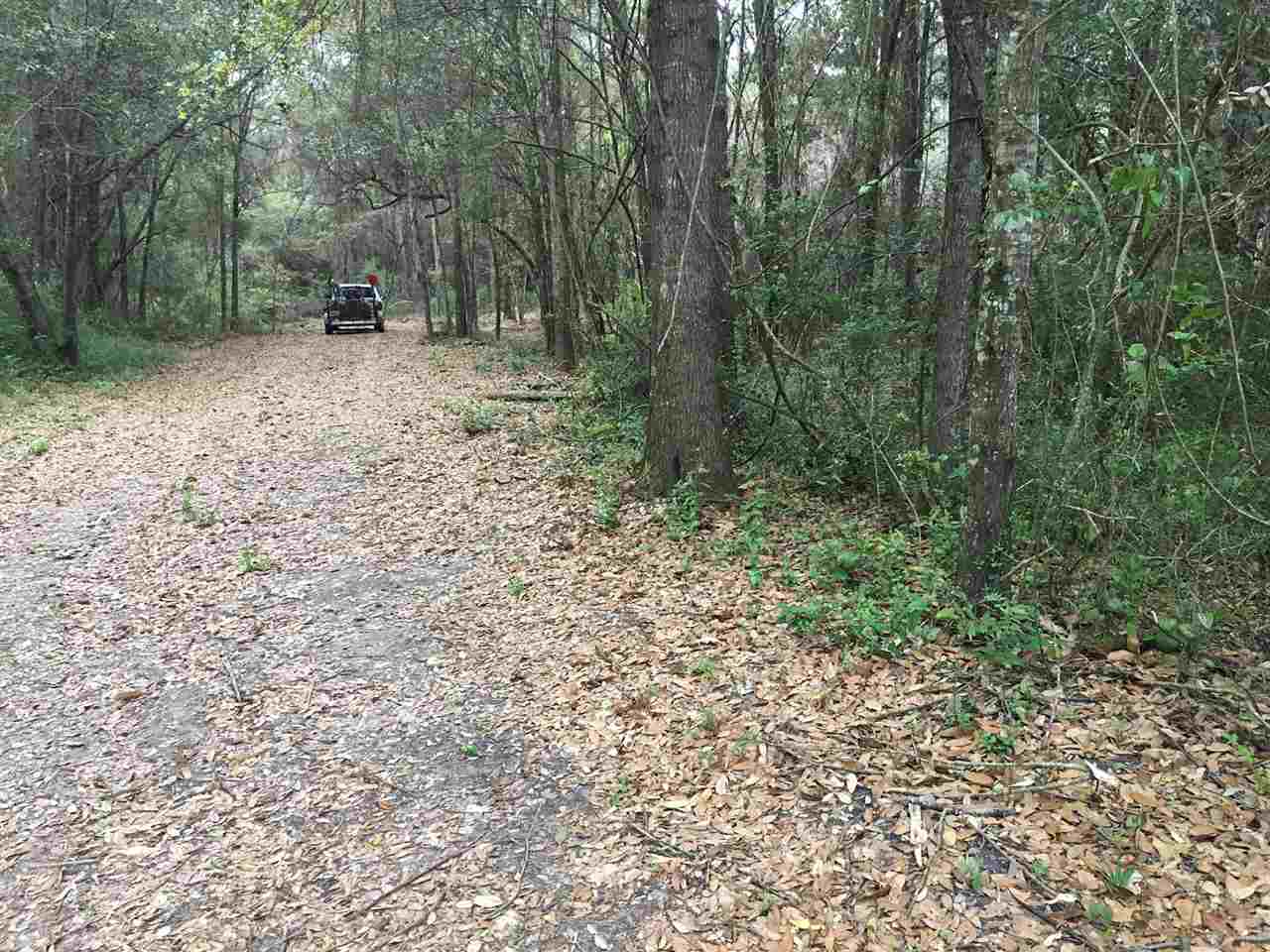 9732 Wills Lane Lillian, AL 36549 - Photo 2 of 7