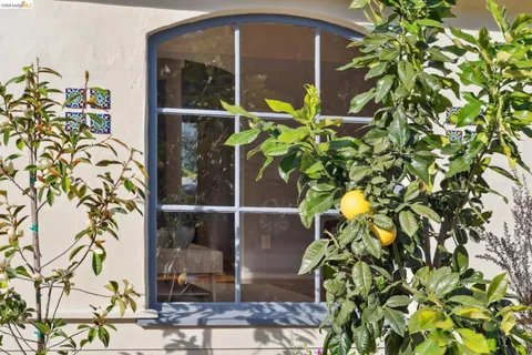 a glass door with a plant in front of it