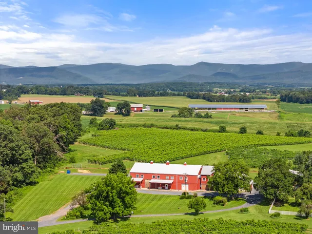a view of a city with mountains in the background