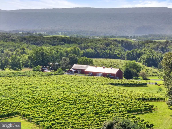 $1,550,000 | 3659 South Ox Road, Edinburg, VA 22824