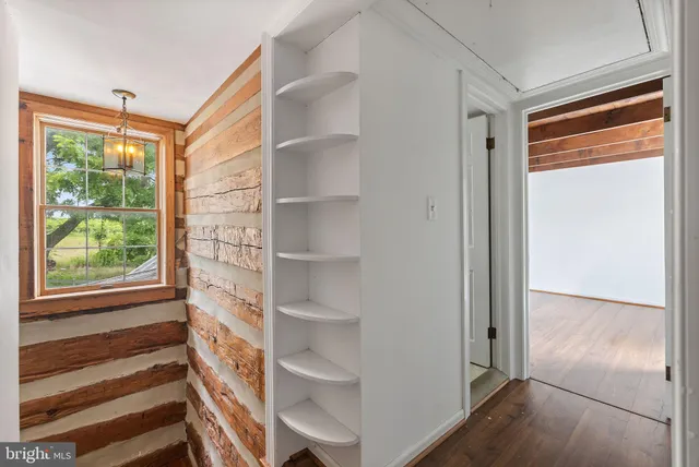 a view of a lush green forest with a mountain in the background