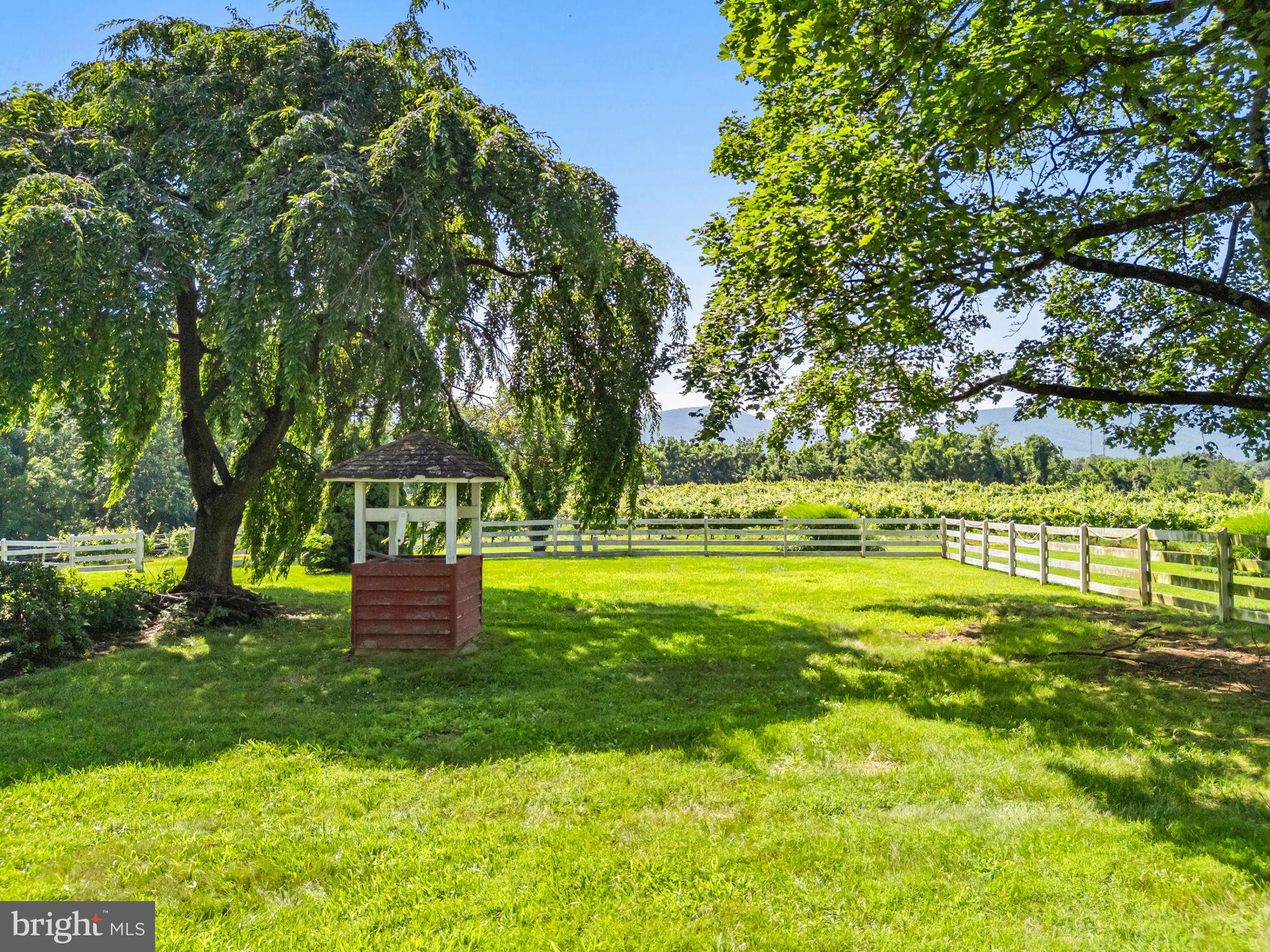 3659 South Ox Road Edinburg, VA 22824 - Photo 50 of 66 a view of swimming pool with a garden