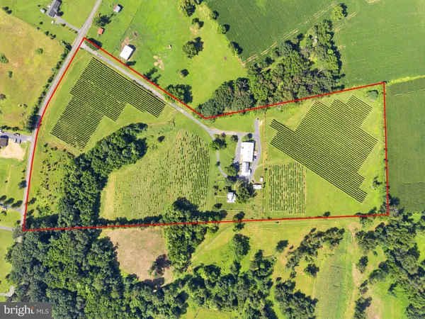 $1,550,000 | 3659 South Ox Road, Edinburg, VA 22824