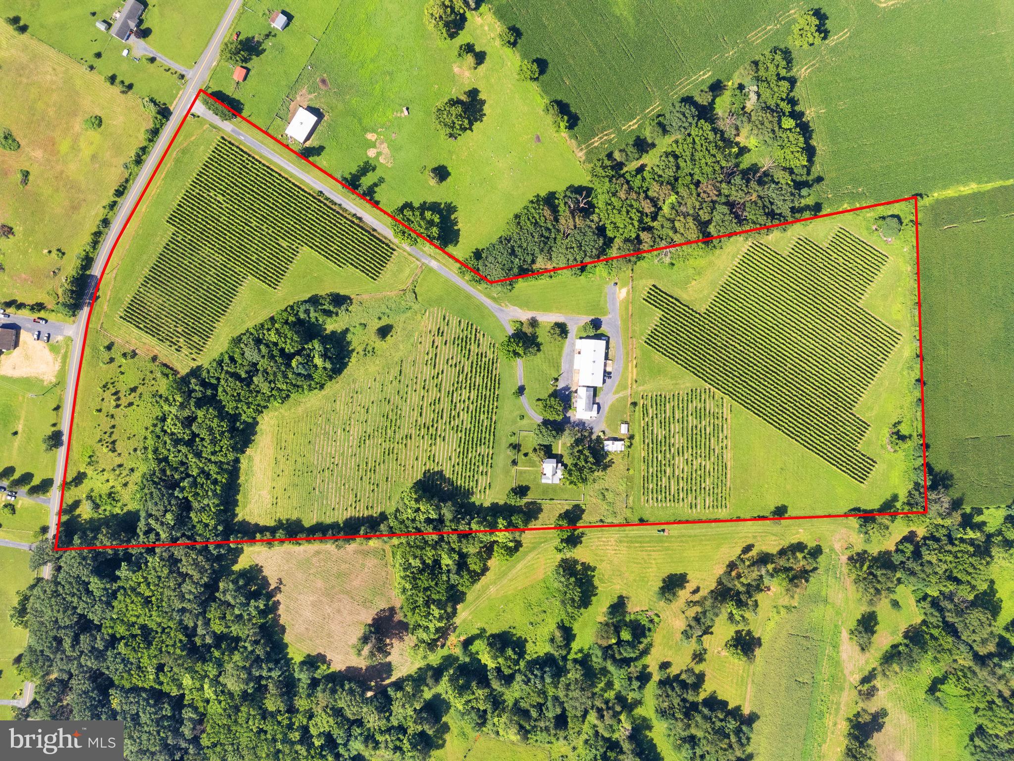 3659 South Ox Road Edinburg, VA 22824 - Photo 5 of 66 a view of a garden