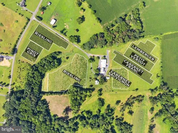 $1,550,000 | 3659 South Ox Road, Edinburg, VA 22824