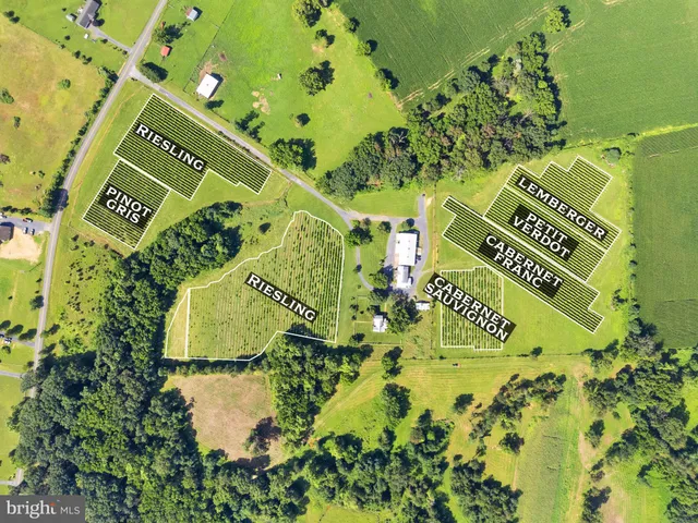 $1,550,000 | 3659 South Ox Road, Edinburg, VA 22824