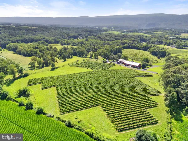 $1,550,000 | 3659 South Ox Road, Edinburg, VA 22824