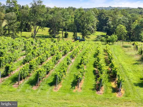 $1,550,000 | 3659 South Ox Road, Edinburg, VA 22824