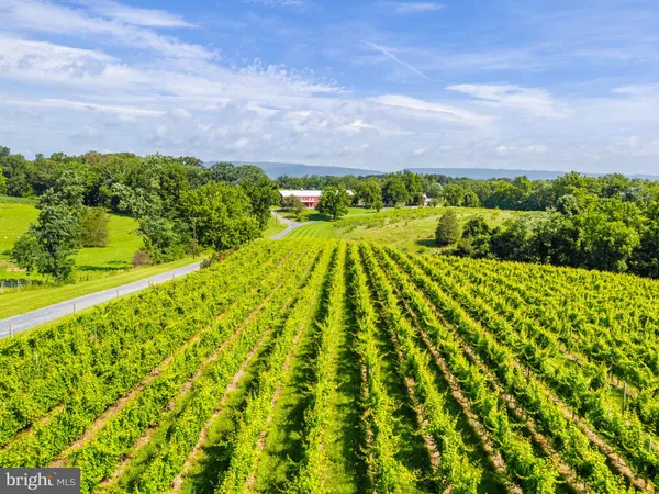 $1,550,000 | 3659 South Ox Road, Edinburg, VA 22824