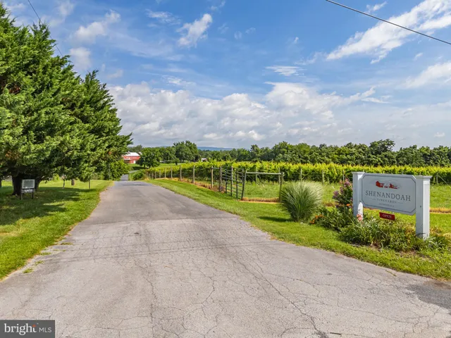 a view of a livingroom with furniture and a patio
