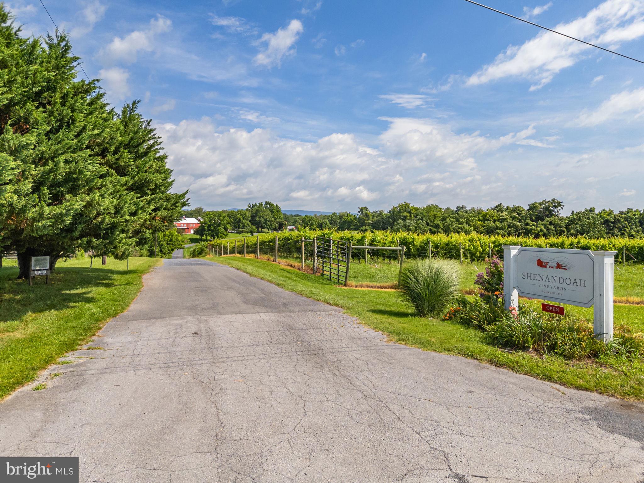 3659 South Ox Road Edinburg, VA 22824 - Photo 6 of 66 Your journey begins down this drive