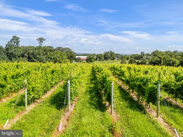 $1,550,000 | 3659 South Ox Road, Edinburg, VA 22824