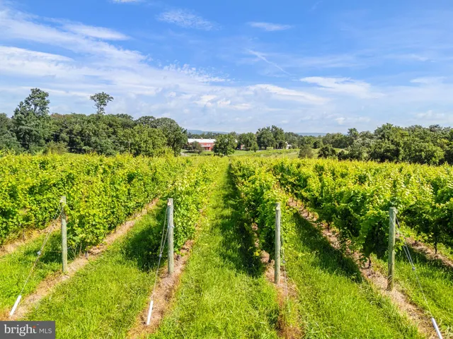 $1,550,000 | 3659 South Ox Road, Edinburg, VA 22824