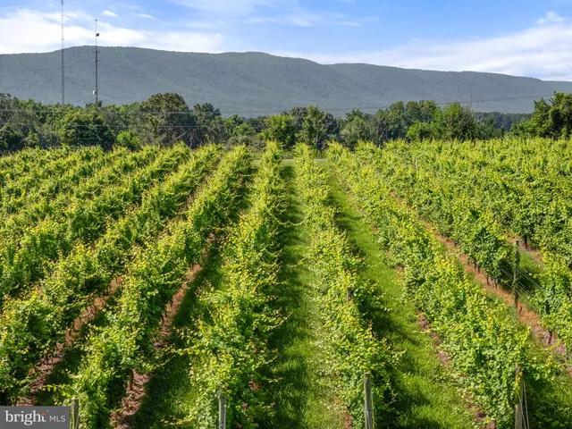 $1,550,000 | 3659 South Ox Road, Edinburg, VA 22824