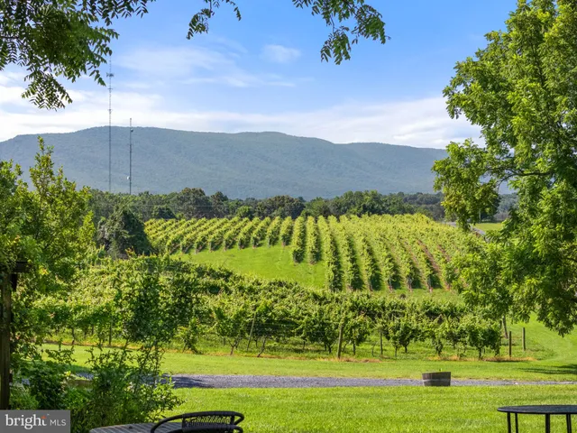 $1,550,000 | 3659 South Ox Road, Edinburg, VA 22824