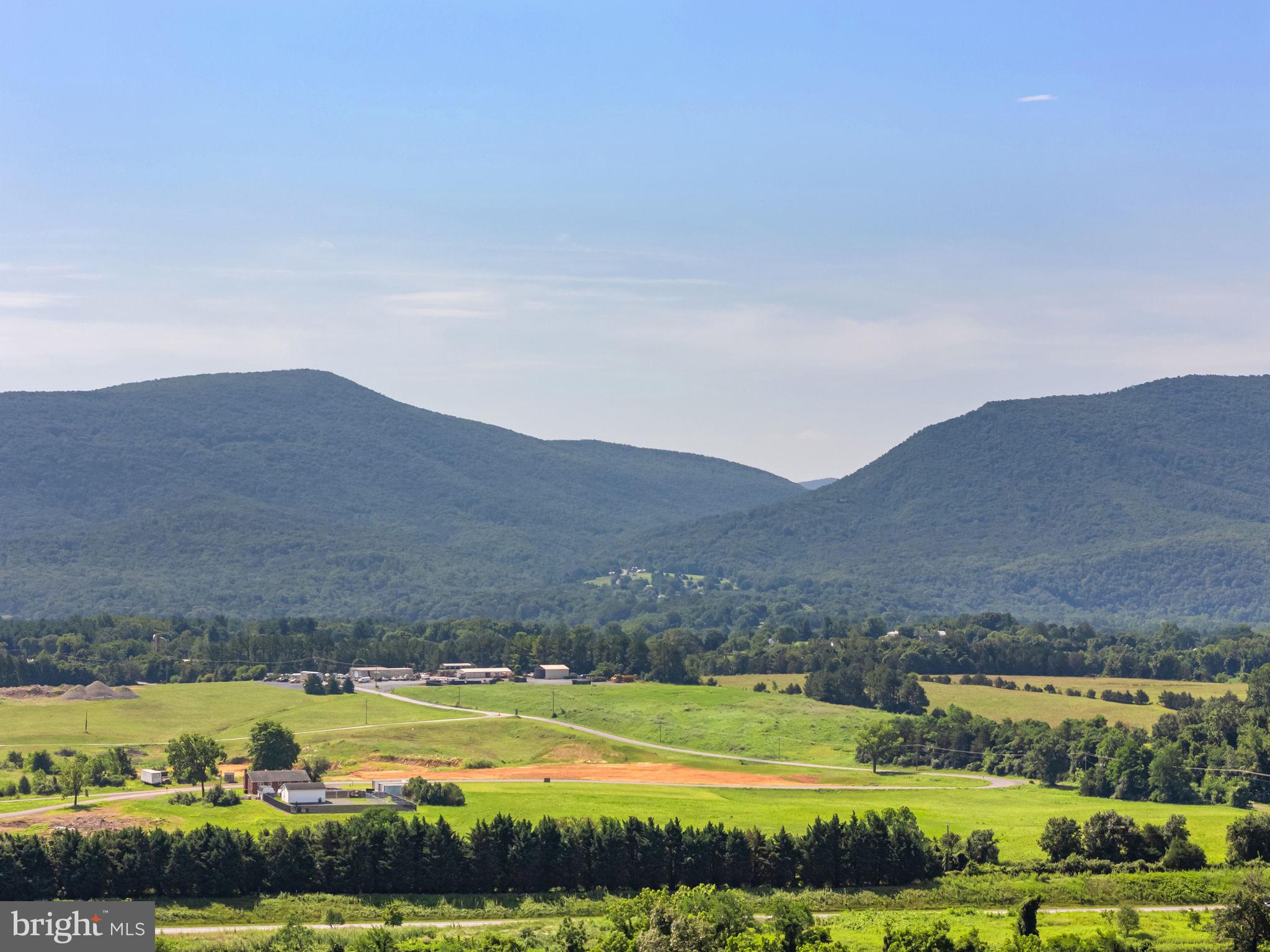 3659 South Ox Road Edinburg, VA 22824 - Photo 65 of 66 Vineyards embraced by stunning mountain landscapes