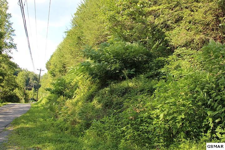 2702 Boogertown Road Sevierville, TN 37876 - Photo 6 of 7