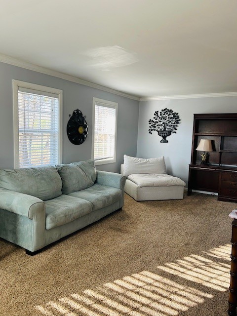 546 Central Valley Road Murfreesboro, TN 37129 - Photo 4 of 21 Gallery Image 4