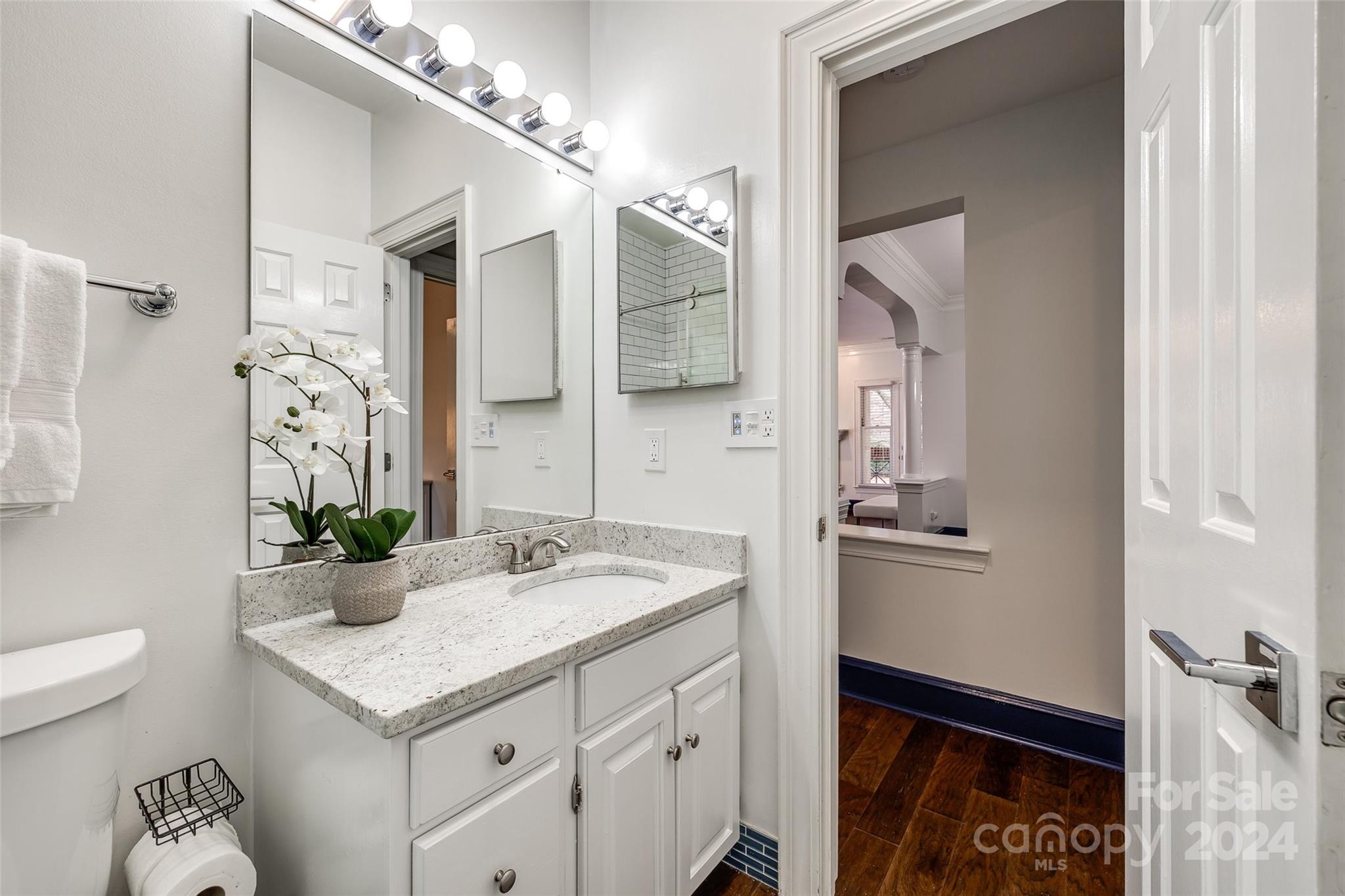 325 Queens Road Charlotte, NC 28204 - Photo 11 of 33 a bathroom with a sink and a mirror