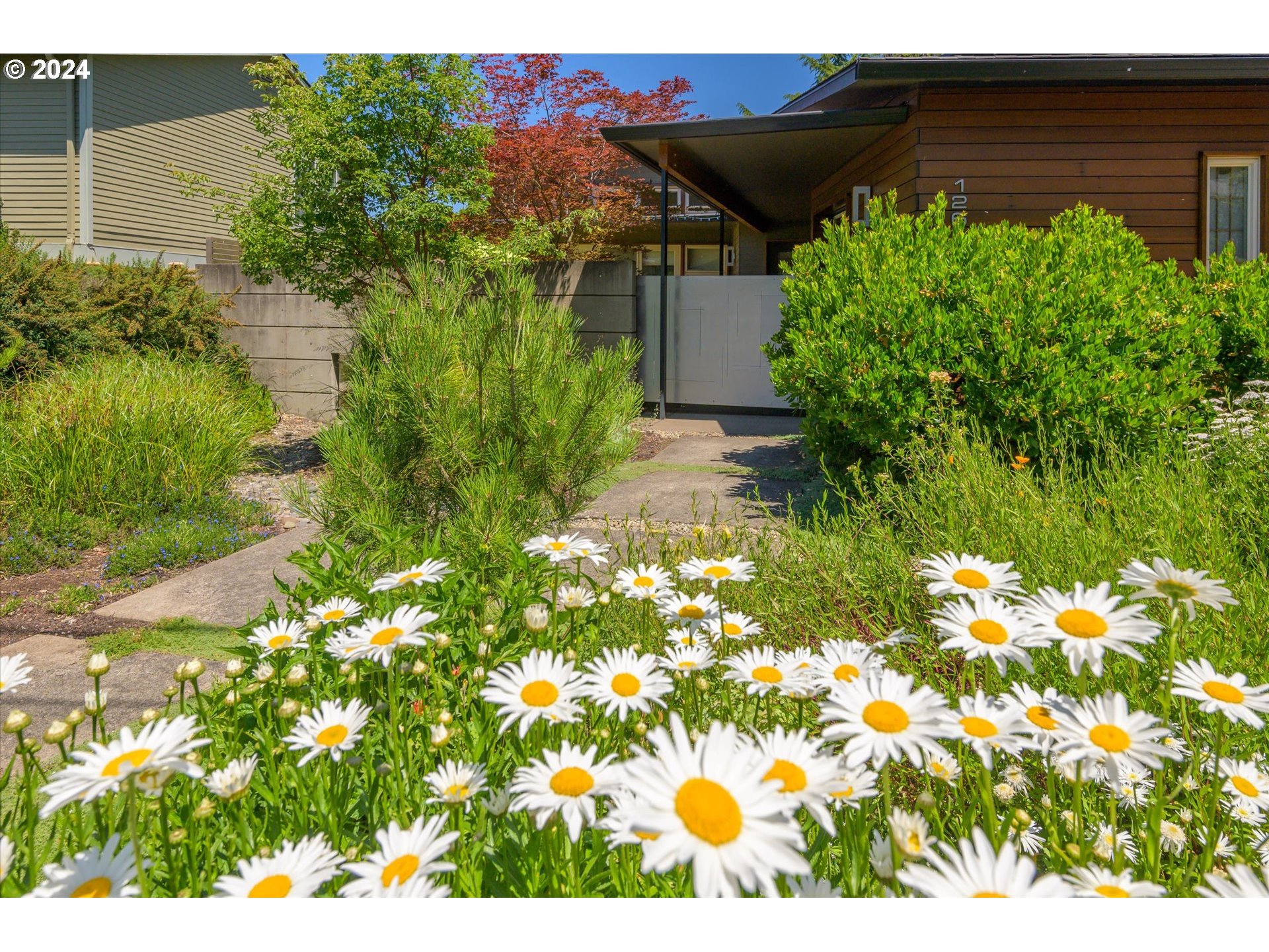 1261 Crenshaw Road Eugene, OR 97401 - Photo 4 of 48 a view of a garden with plants