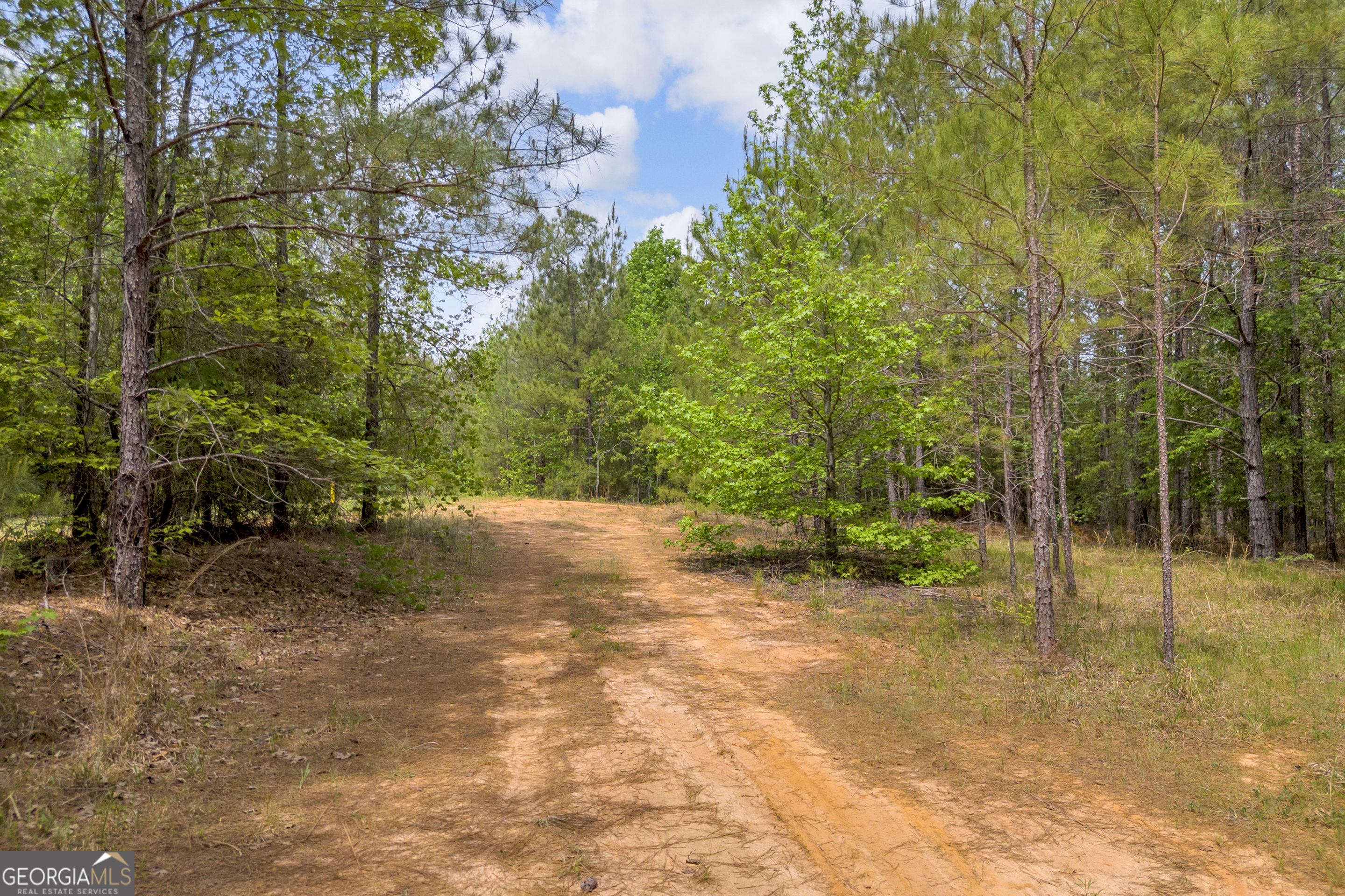 0 Upper Mill Road Northeast Crawfordville, GA 30631 - Photo 25 of 29 a view of a yard with plants and trees