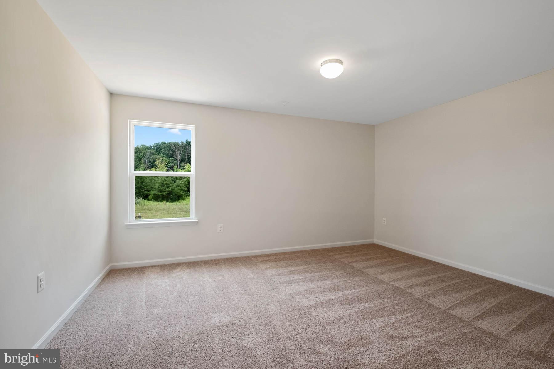 230 Rappahannock Run Falling Waters, WV 25419 - Photo 10 of 32