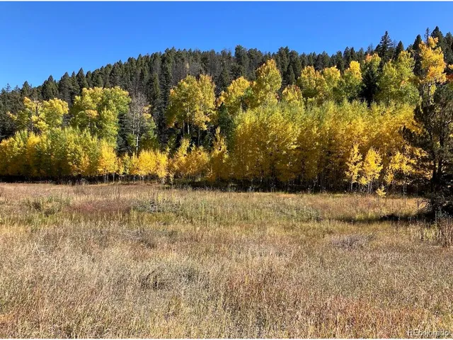 $489,000 | 1 Co Road, Westcliffe, CO 81252