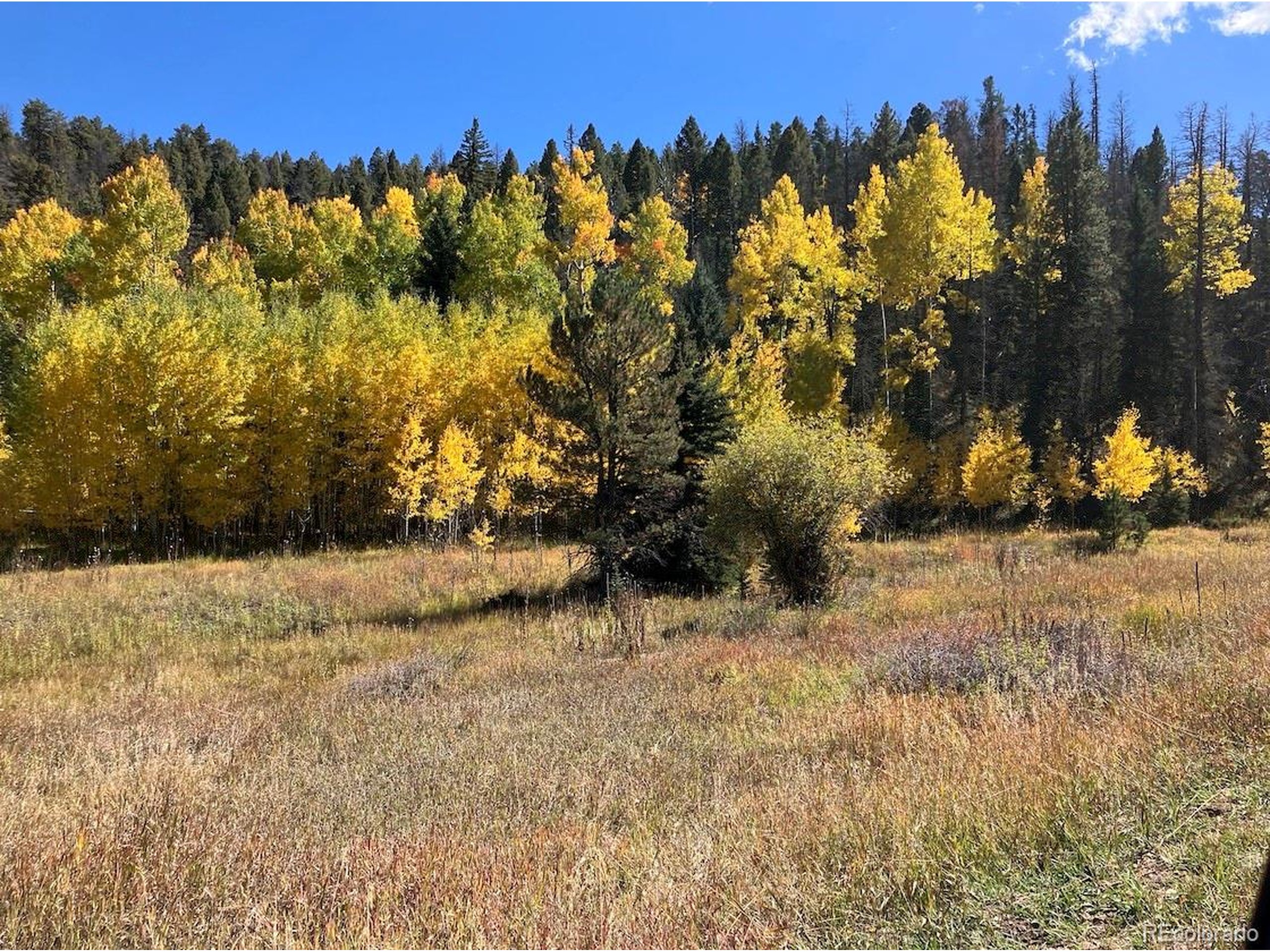 1 Co Road Westcliffe, CO 81252 - Photo 7 of 8