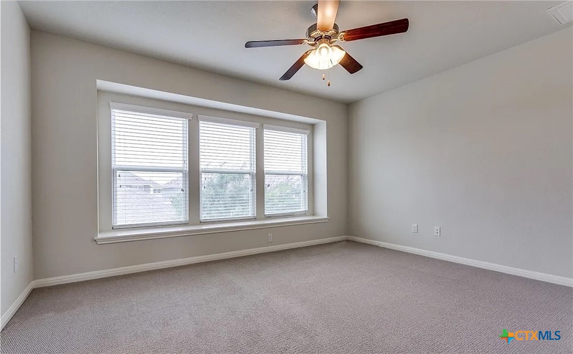 159 Wainscot Oak Way San Marcos, TX 78666 - Photo 9 of 18