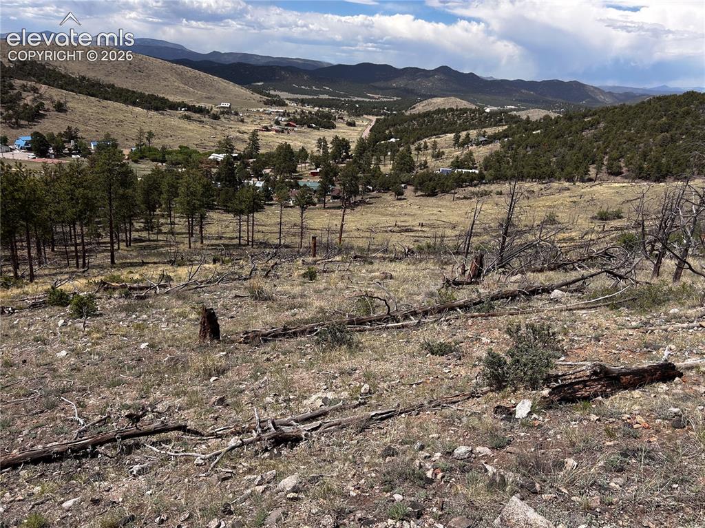 H Path Cotopaxi, CO 81223 - Photo 6 of 13 Front of property.