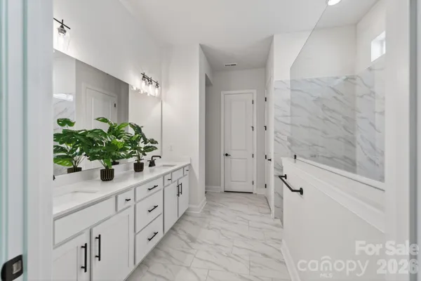 a bathroom with a sink a mirror and a shower