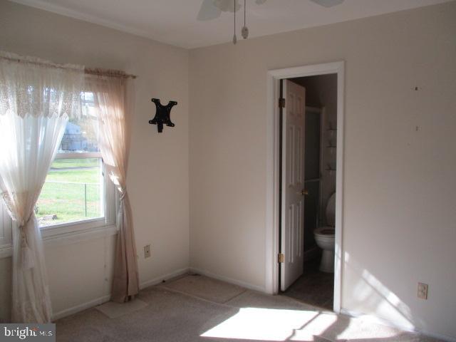 2633 Cox Neck Road Chester, MD 21619 - Photo 22 of 23 Gallery Image 22