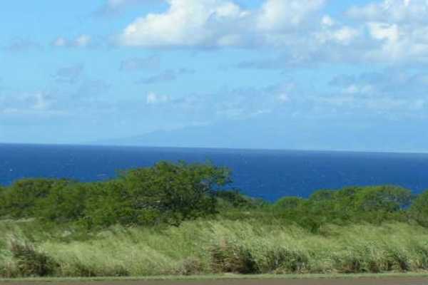 a view of a field with an ocean in back
