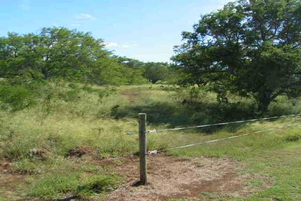 44 Lot 248 Puakea Bay Ranch Road Kamuela, HI 96743 - Photo 3 of 3 a view of a lake view with a tree