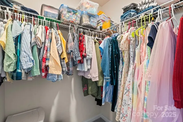 a view of walk in closet with clothes