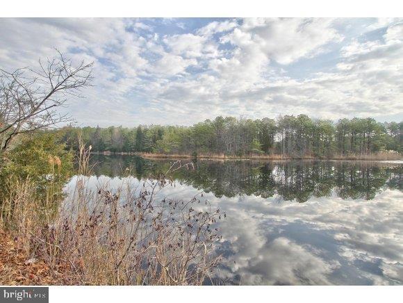 13 A Walnut Road Manahawkin, NJ 08050 - Photo 15 of 16 Gallery Image 15
