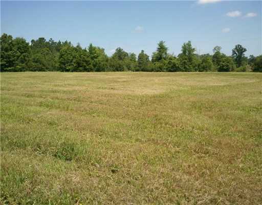 Tbd Red Oak Road Saucier, MS 39574 - Photo 12 of 16 Additional Photo