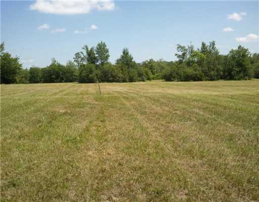Tbd Red Oak Road Saucier, MS 39574 - Photo 13 of 16 Additional Photo