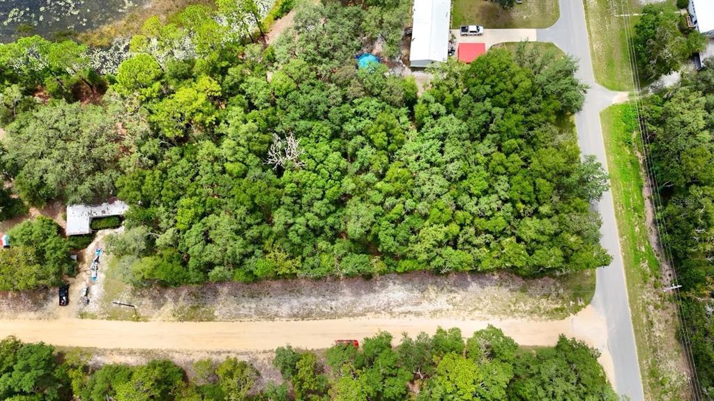 Hemlock Street Interlachen, FL 32148 - Photo 2 of 3 a backyard of a house with lots of green space