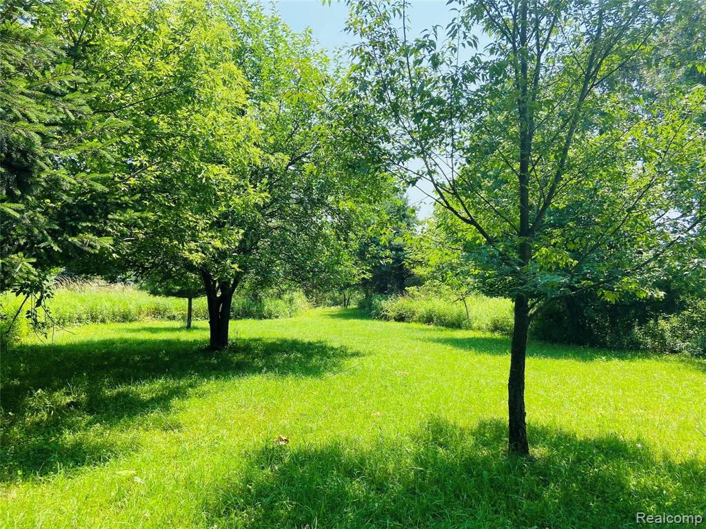 10023 Silver Lake Road Linden, MI 48451 - Photo 4 of 17