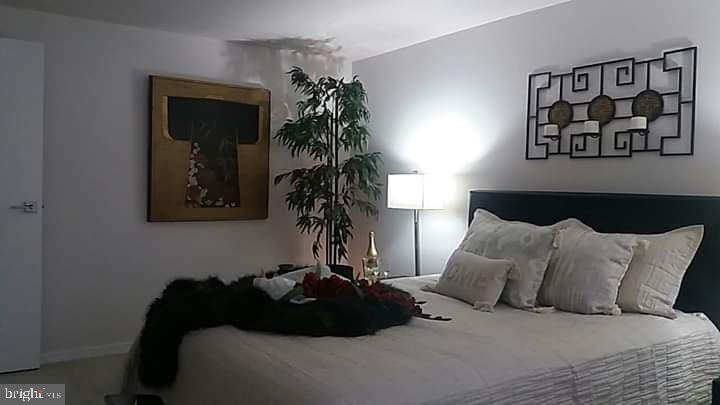 9621 Winands Road Randallstown, MD 21133 - Photo 17 of 22 Master Bedroom (4)