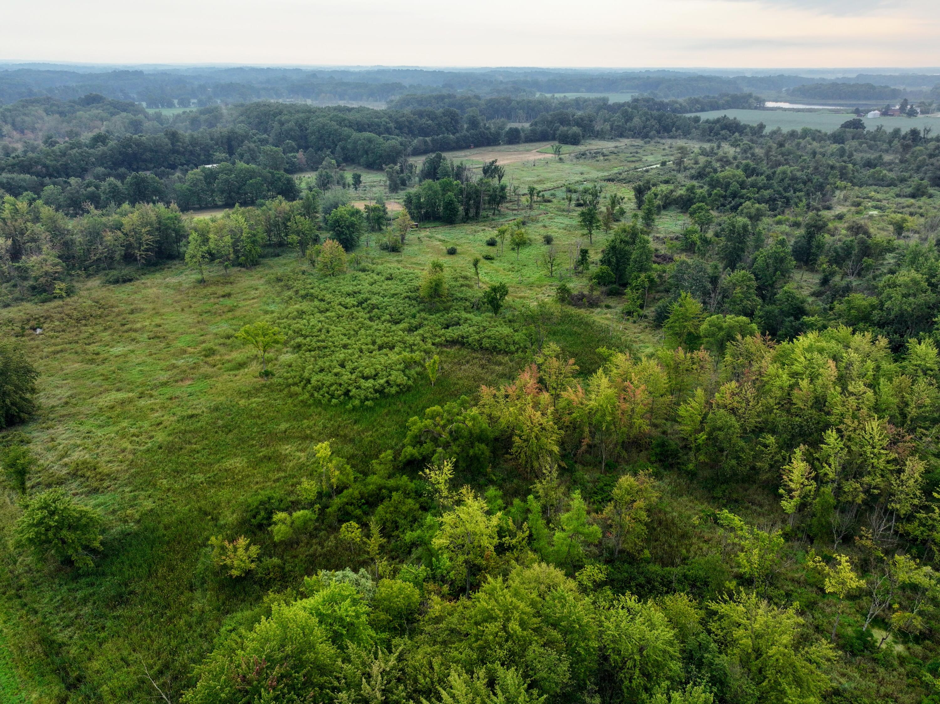 Vl Burlington Road Marcellus, MI 49067 - Photo 13 of 42 13