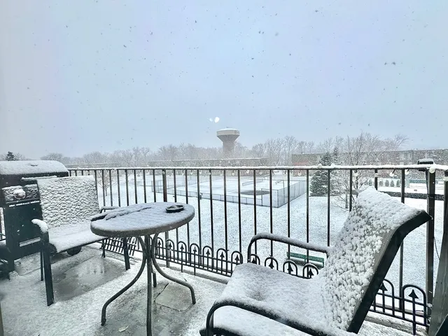a view of a yard with plants
