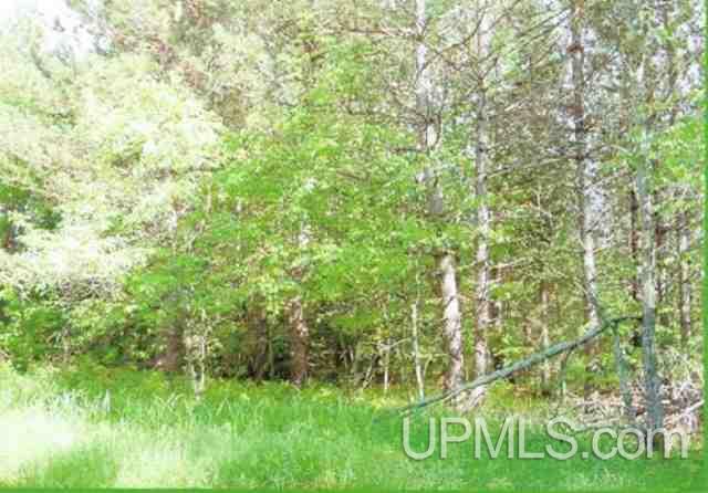 Tbd Koehmstedt Road, Unit 130 Hurley, WI 54534 - Photo 3 of 7