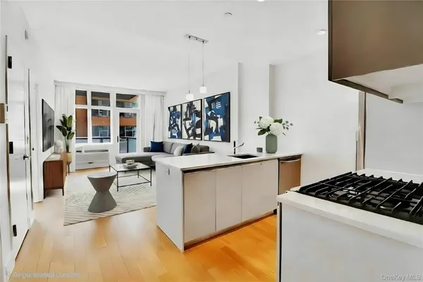 $4,250 | 226 50th Avenue, Unit 4C | Long Island City