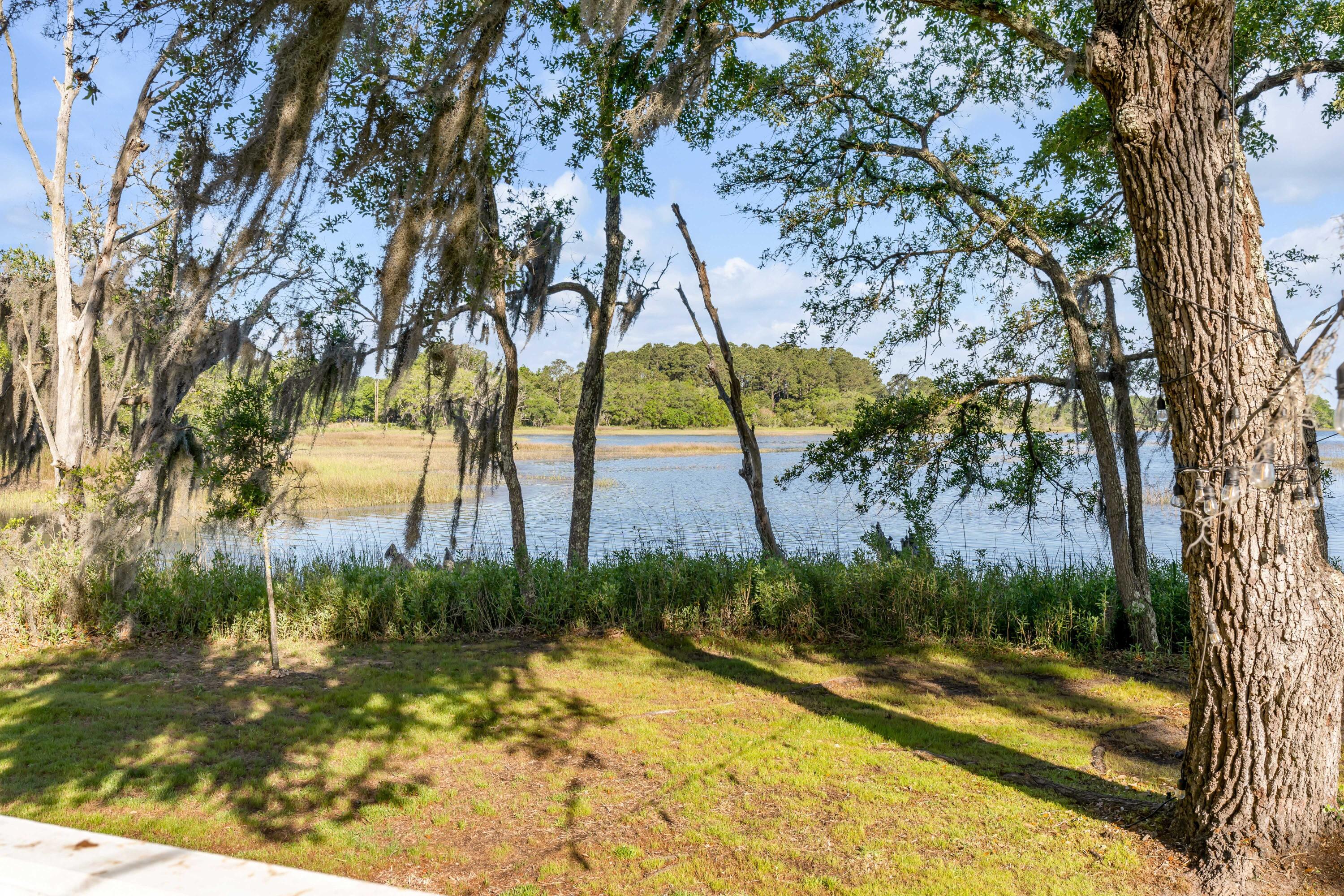 1310 Martins Point Road Wadmalaw Island, SC 29487 - Photo 69 of 83 DSC04173