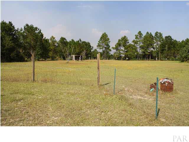 9848 American Farms Road Milton, FL 32583 - Photo 11 of 21 Fenced in Pasture