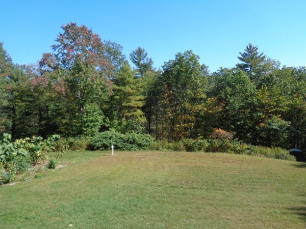 220 Dana Road Orange, MA 01364 - Photo 8 of 9 a view of a lush green space with sea