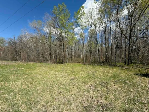 $95,000 | Tbd Lamon Road Northeast, Bemidji, MN 56601