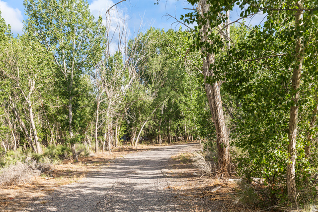 460 Omni Point Road Central Valley, UT 84754 - Photo 86 of 101 Gravel path bordered by dense, mature trees and natural vegetation